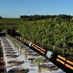 WhatsApp Image 2025-07-12 at 16.28.04